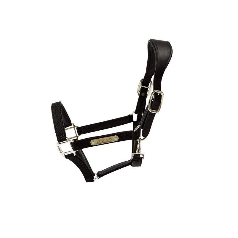 Kentucky Horsewear Anatomic Nylon Head Collar - Black