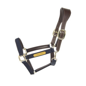 Kentucky Horsewear Anatomic Nylon Head Collar - Navy
