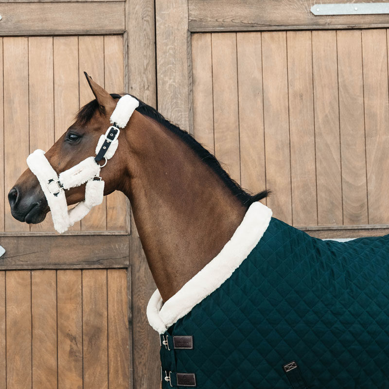 Kentucky Show Rug - Dark Green
