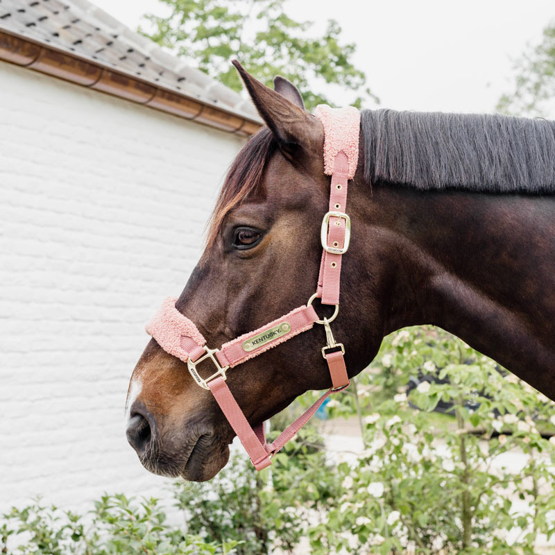 Kentucky Horsewear Teddy Fleece Head Collar - Old Rose