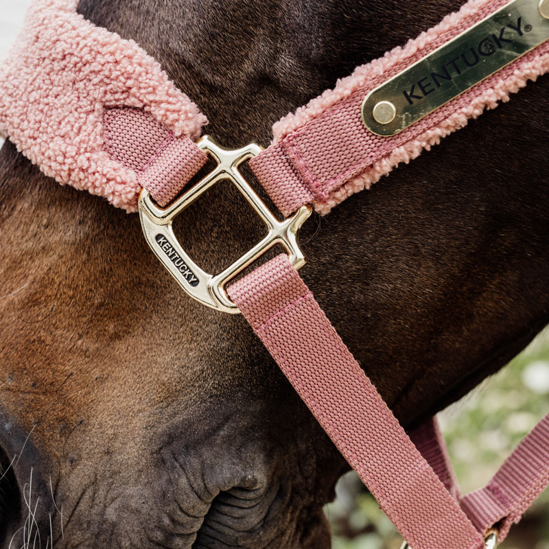Kentucky Horsewear Teddy Fleece Head Collar - Old Rose - Image 2