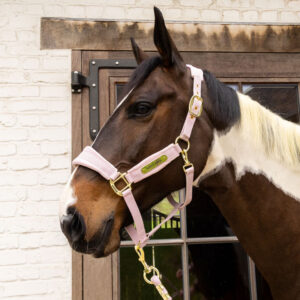 Kentucky Horsewear Velvet Head Collar - Soft Rose