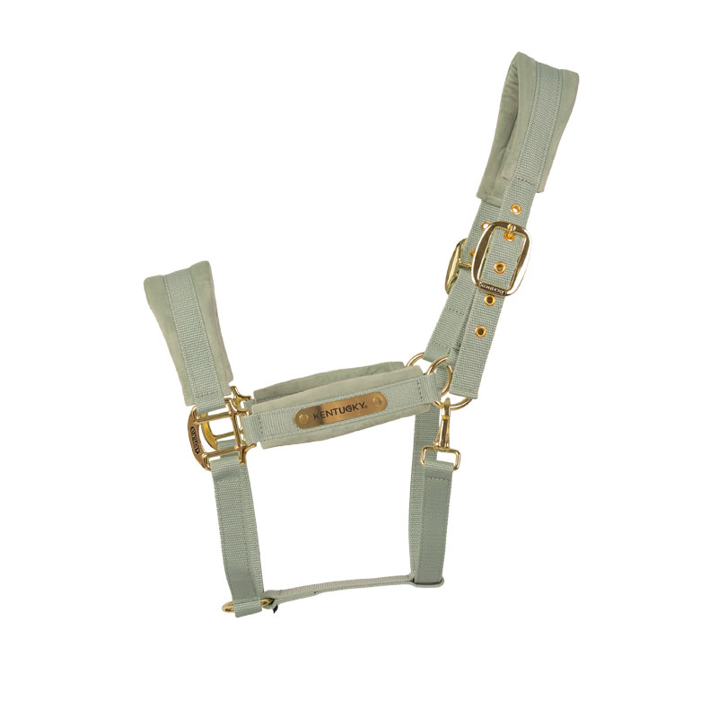 Kentucky Horsewear Velvet Head Collar - Mint