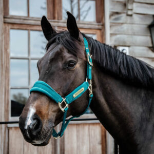 Kentucky Horsewear Velvet Head Collar - Emerald