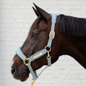Kentucky Horsewear Velvet Head Collar - Light Blue