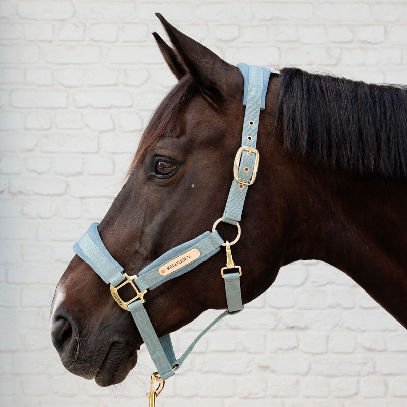 Kentucky Horsewear Velvet Head Collar - Light Blue