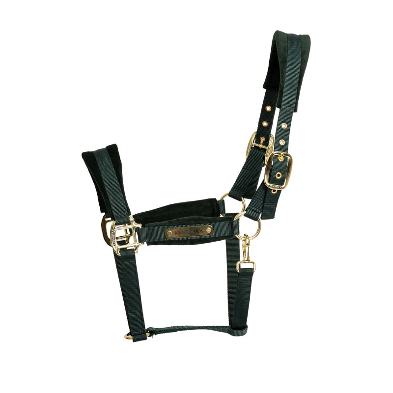 Kentucky Horsewear Velvet Head Collar - Pine Green - Image 2