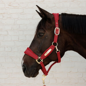 Kentucky Horsewear Velvet Head Collar - Red