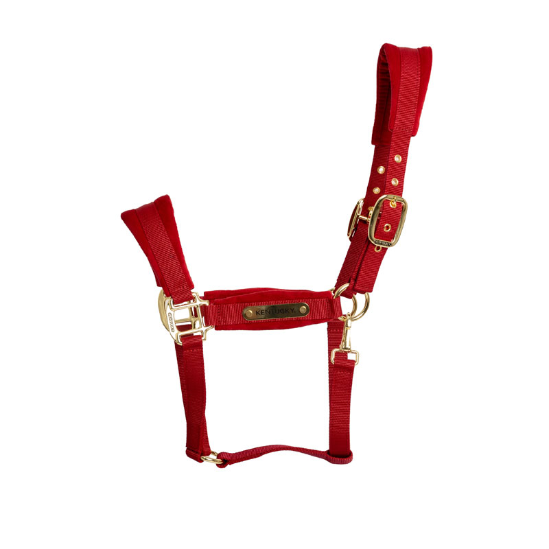 Kentucky Horsewear Velvet Head Collar - Red - Image 2