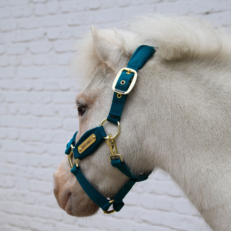 Kentucky Horsewear Velvet Head Collar - Emerald - Image 2