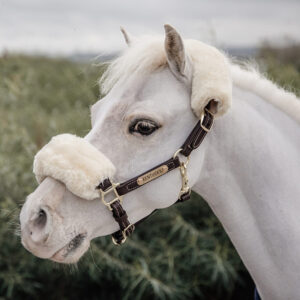 Kentucky Horsewear Leather Pony Halter with Sheepskin