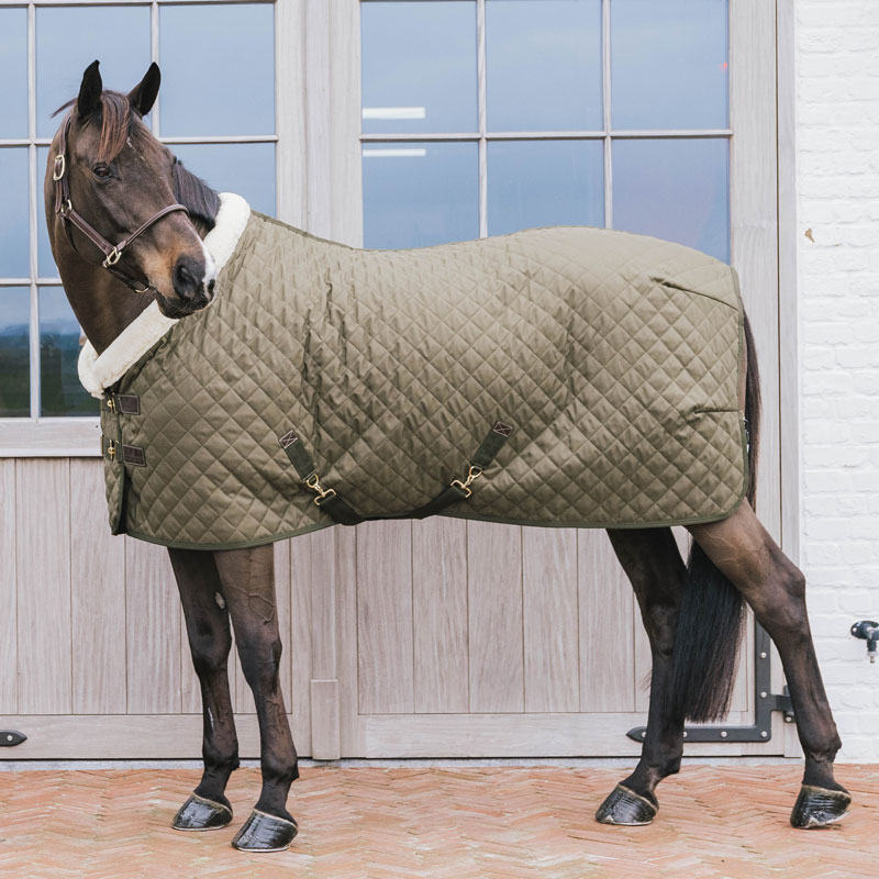 Kentucky Show Rug - Dark Khaki