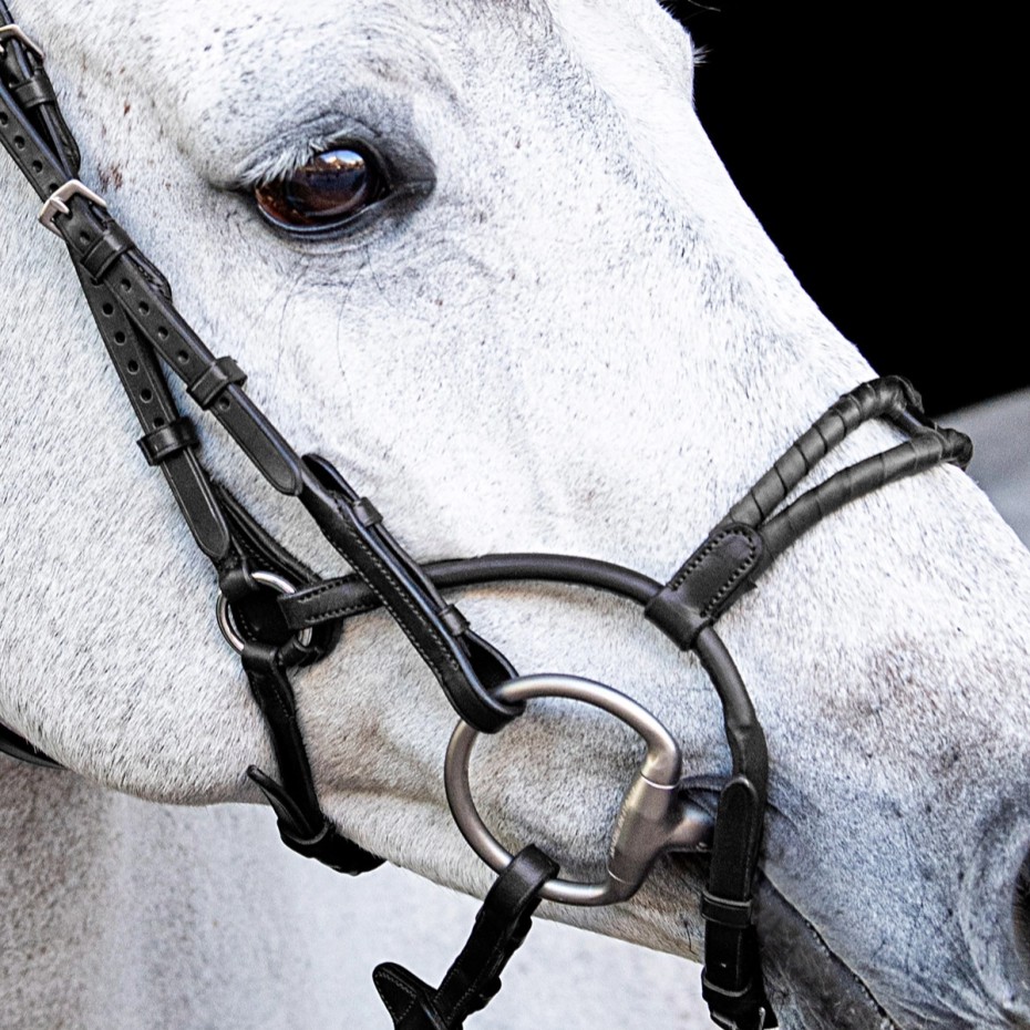 Equiline Rounded Noseband with Double Suede Covered Roller - Image 4