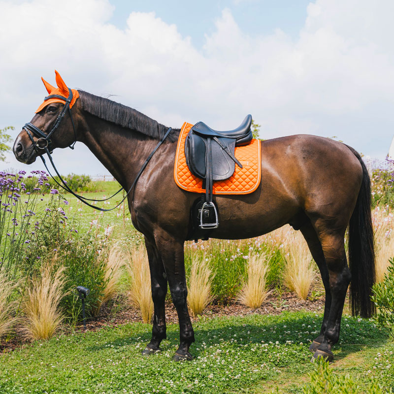 Kentucky Dressage Saddle Pad Diamond Rope - Orange - Image 3
