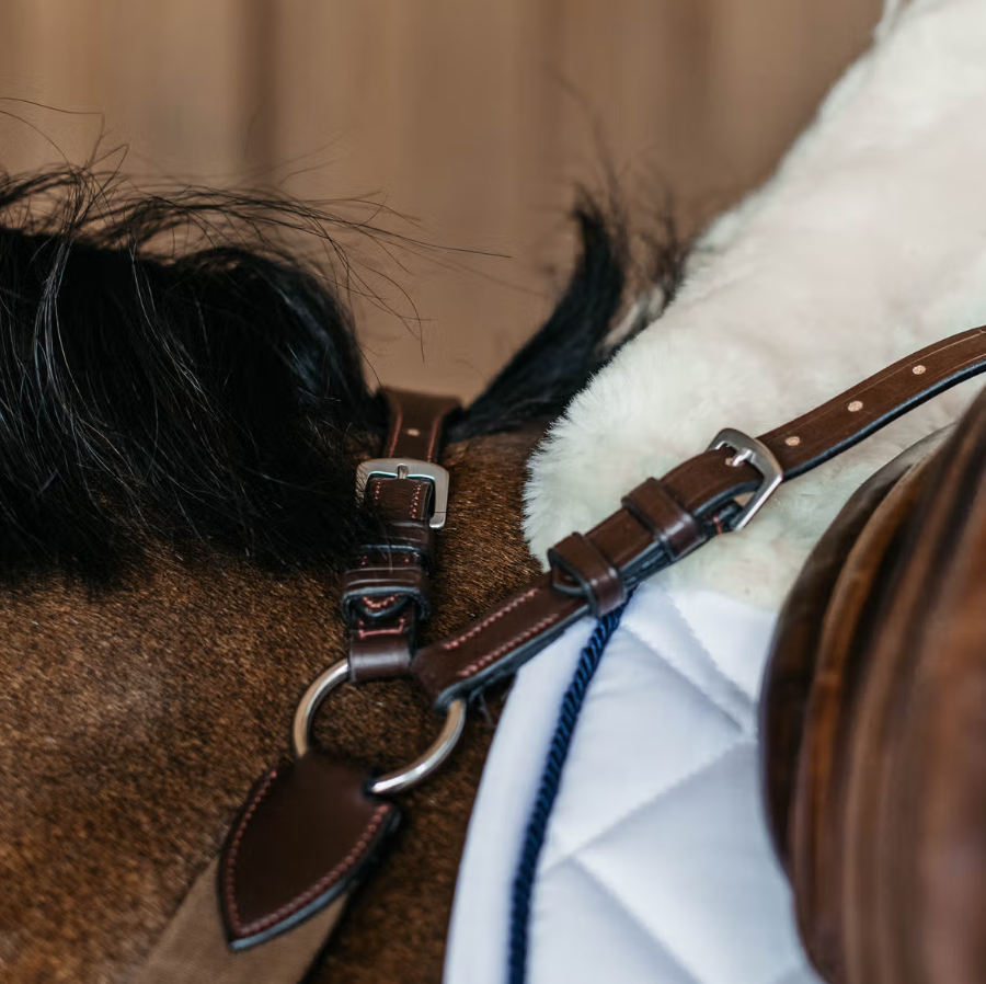 Dy'on New English 5 Point Elastic Breastplate - Image 3