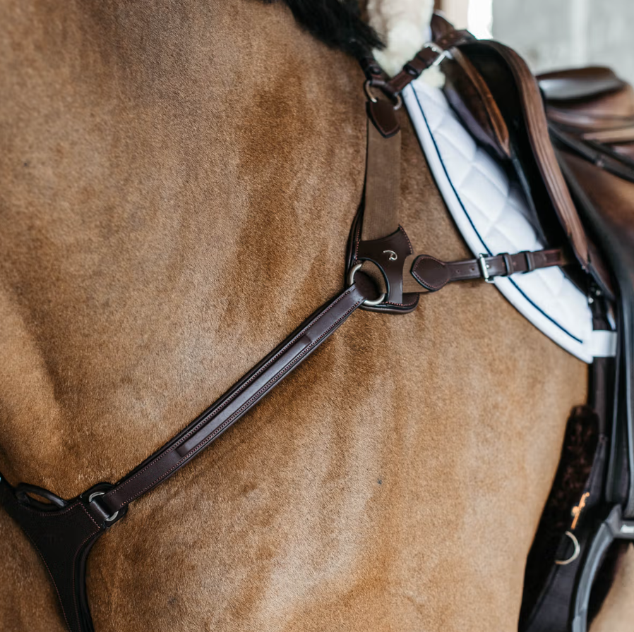 Dy'on New English 5 Point Elastic Breastplate - Image 4
