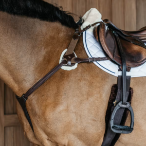 Dy'on New English 5 Point Elastic Breastplate