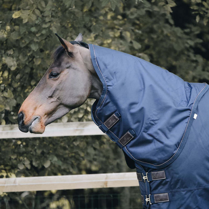 Kentucky All Weather Waterproof Pro Neck -  Navy