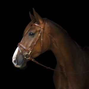 Utzon Equestrian Belmond Snaffle Bridle - Light Brown