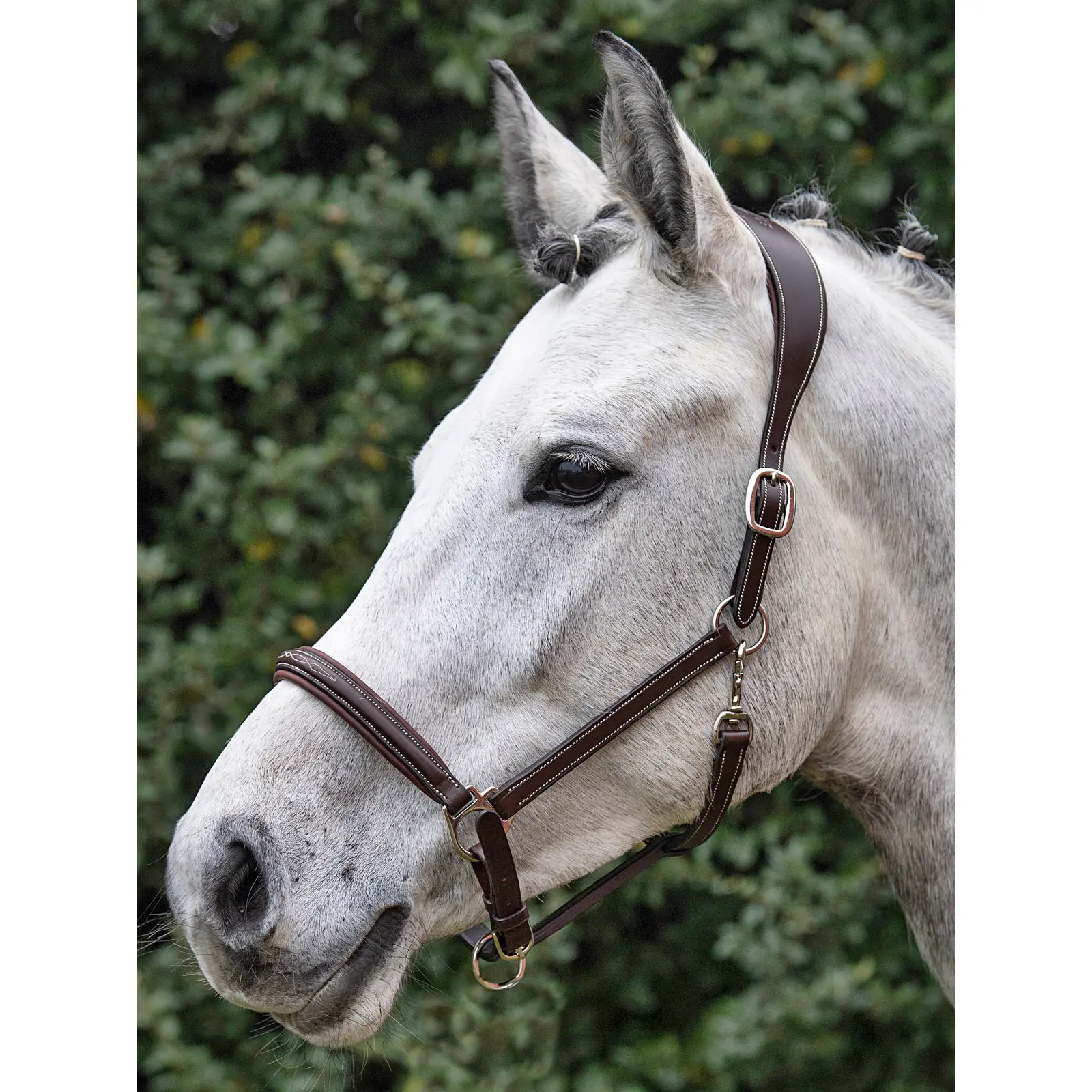 Equiline Leather Safety Halter - Brown - Image 2
